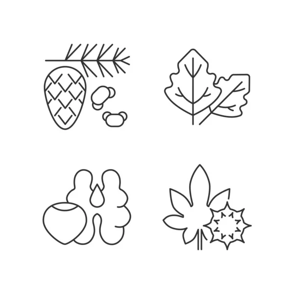 Causa Reacción Alérgica Conjunto Iconos Lineales Polen Cedro Pino Nueces — Vector de stock