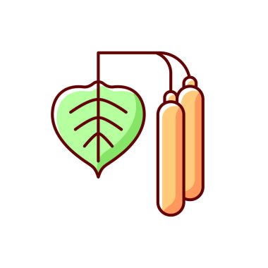 Birch polen RGB renk simgesi. Ağaç yaprağı, botanik kulaklık. Alerjik reaksiyon yüzünden. Bahar filizleri, yapraklar ve gövde. Yaygın mevsimsel alerji. Bitki alerjisi. İzole vektör illüstrasyonu