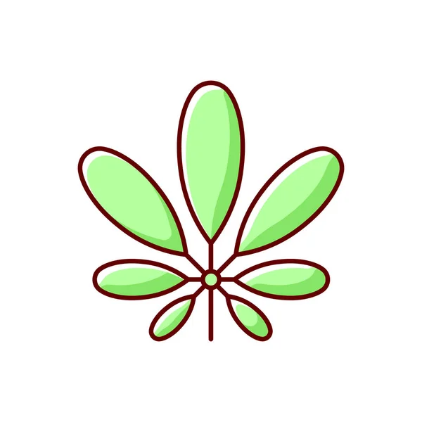 Schefflera Rgb 아이콘이다 꽃피는 엄브렐라 알레르기 반응의 원인이죠 이국적 덤불에서 — 스톡 벡터