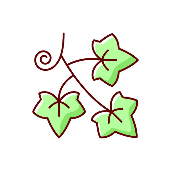Englisches Efeu Rgb Farbsymbol Hedera Helix Grüne Rebsorte Krabbelnde Blütenpflanze — Stockvektor