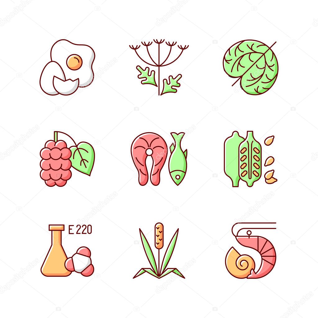 Allergy danger RGB color icons set. Raw egg. Queen Anne lace. Dry tumbleweed. Timothy grass. Fish as common allergen. Chemical sulphites. Food intolerance. Isolated vector illustrations