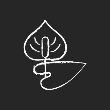 Siyah arkaplanda beyaz Anthurium tebeşiri simgesi. Flamingo çiçeği. Lanet olası laceleaf. Alerjik reaksiyon yüzünden. Tehlikeli alerji. Bitki alerjisi. İzole edilmiş vektör karatahta çizimi