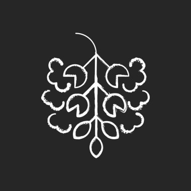 Kavak ağacı poleni siyah arkaplanda beyaz tebeşir ikonu. Cottonwood bitkisi. Alerjik reaksiyon yüzünden. Mevsimsel havadan yayılan alerji. Bitki alerjisi. İzole edilmiş vektör karatahta çizimi