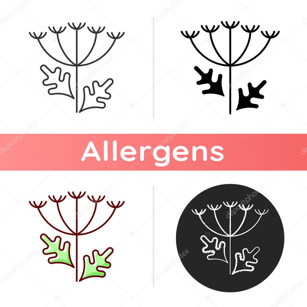 Queen Annes lace icon. Blooming wildflower. Wild carrot flower. Allergic reaction. Pollen allergen. Allergy for plant. Linear black and RGB color styles. Isolated vector illustrations