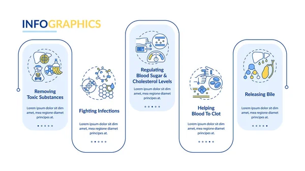 Papel Hepático Modelo Infográfico Vetorial Liberando Bile Elementos Design Apresentação —  Vetores de Stock