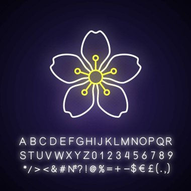 Kiraz çiçekleri neon ışıklı ikon. Japon sakurası. Mevsimlik yürüyüş çiçekleri. Çin baharı. Dış ışıltı etkisi. Alfabe, sayılar ve sembollerle imzala. Vektör izole edilmiş RGB renk çizimi