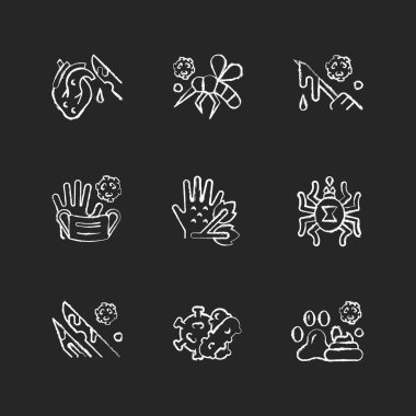 Biyolojik atık beyaz tebeşir ikonları siyah arkaplana dizildi. Virüsler biyolojik riskleri yayıyor. Zehirli tıbbi malzeme atığı. Hayvan kaynaklı hastalık. İzole edilmiş vektör karatahta çizimleri