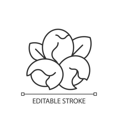 Soya fındığı doğrusal simgesi. Soya fasulyesinden yapılmış vejetaryen gevrekleri. Besin bazlı yemek. İnce çizgi özelleştirilebilir illüstrasyon. Contour sembolü. Vektör izole çizim. Düzenlenebilir vuruş