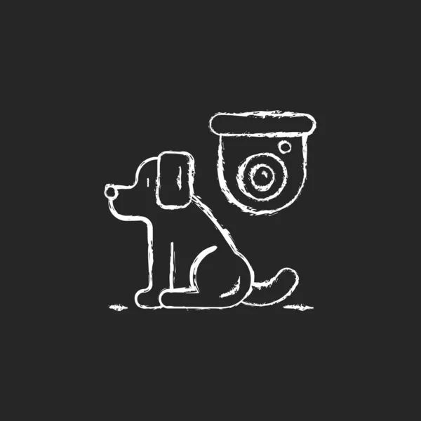 宠物控制摄像头粉笔白色图标在黑暗的背景 监测狗的安全 家庭安全摄像头 在屋里观察动物 追踪小狗的踪迹黑色上孤立的矢量黑板插图 — 图库矢量图片