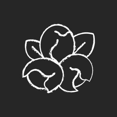 Soya fıstığı koyu arkaplanda beyaz tebeşir ikonu. Soya fasulyesinden yapılmış vejetaryen gevrekleri. Doğal sebze ürünleri. Besin bazlı yemek hazırlama. Siyah üzerine izole edilmiş vektör çizimi