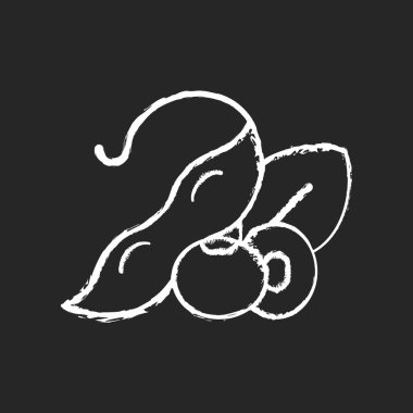 Koyu arkaplanda soya fasulyesi beyaz tebeşiri. Sağlıklı yiyecekler. Doğal süt kaynağı. Vejetaryen yemekleri hazırlıyorum. Besin dolu organik malzemeler. Siyah üzerine izole edilmiş vektör çizimi