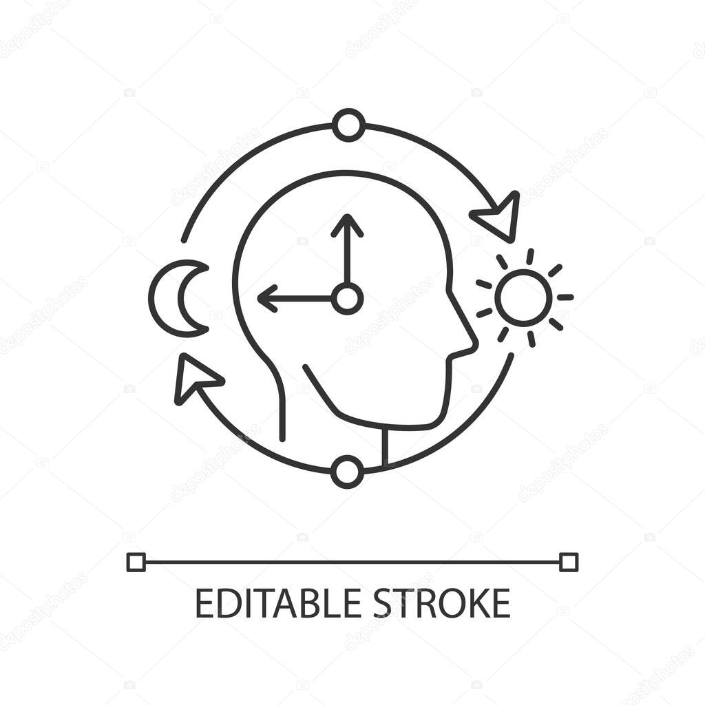 Circadian rhythms linear icon. Internal daily clock. Optimize cognitive function for daytime. Thin line customizable illustration. Contour symbol. Vector isolated outline drawing. Editable stroke