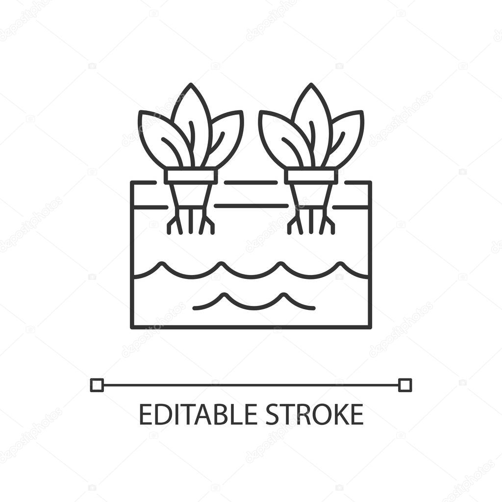 Hydroponics linear icon. Grow plants without soil. Farming herbs and vegetables in water. Thin line customizable illustration. Contour symbol. Vector isolated outline drawing. Editable stroke