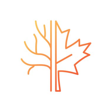 Akçaağaç gradyan doğrusal vektör simgesi. Resmi Kanada amblemi. Kanada 'da yetişen ağaç ve çalıların türleri. İnce çizgi renk sembolü. Modern tarz pictogram. Vektör izole çizimi