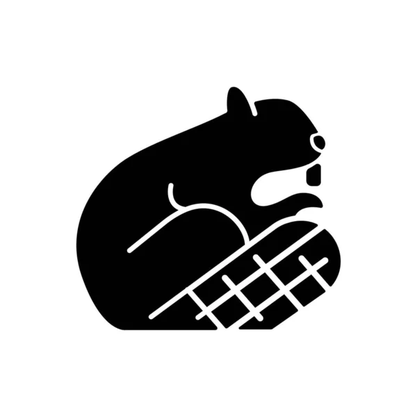 ビーバーブラックグリフのアイコン カナダのアイデンティティと主権の象徴 公式の紋章だ 草食動物と半水生野生動物 白い空間にシルエットのシンボル ベクトル分離図 — ストックベクタ