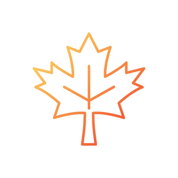 枫叶梯度线形矢量图标 加拿大常用的符号 加拿大国旗的核心要素 细线颜色符号 现代风格的象形文字 矢量孤立轮廓图 — 图库矢量图片