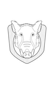 Avcılık kupa. Doldurulmuş tahnitçilik yaban domuzu kafası