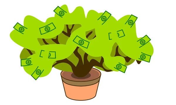 Money tree. Green houseplant — Stock Vector