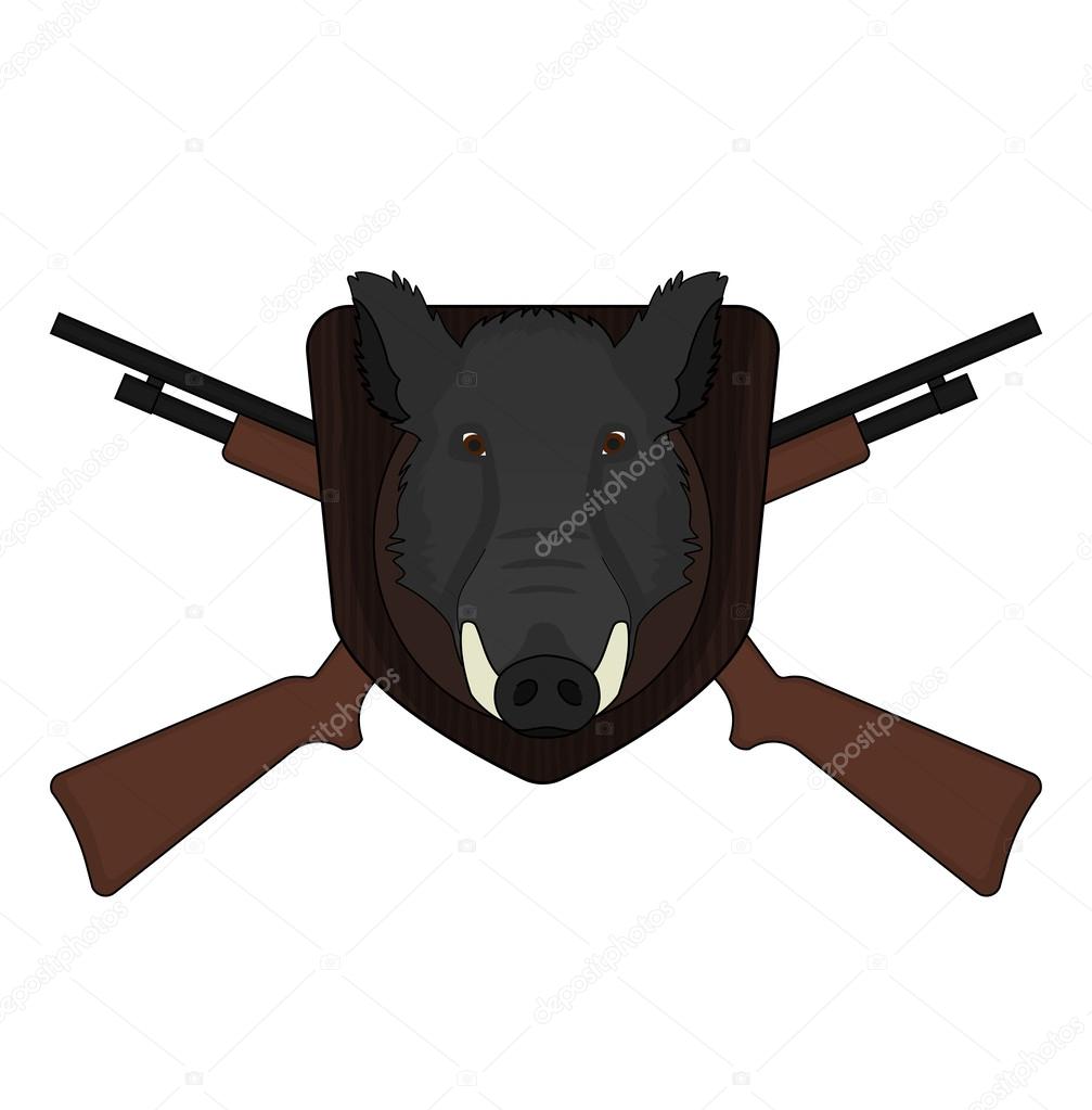 Hunting trophy. Stuffed taxidermy wild boar head with big tusks in wood shield. 2 crossed shotguns.