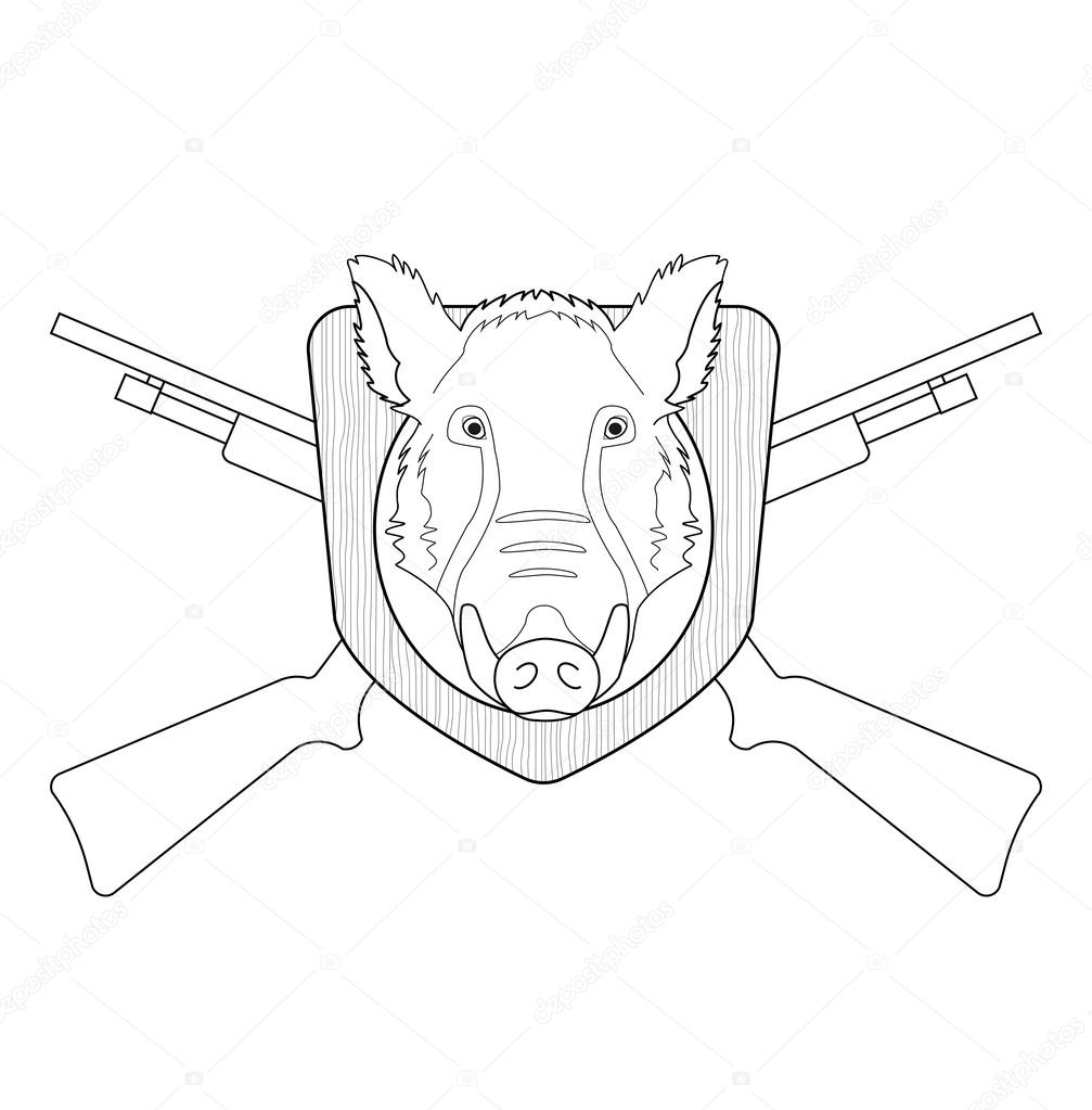 Hunting trophy. Stuffed taxidermy wild boar head with big tusks in wood shield. 2 crossed shotguns.
