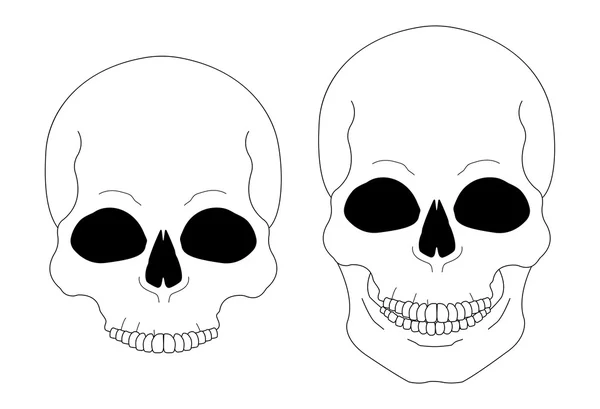 Cráneo blanco y negro — Archivo Imágenes Vectoriales