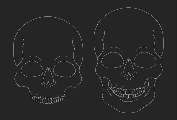 Crânes de craie imagine — Image vectorielle