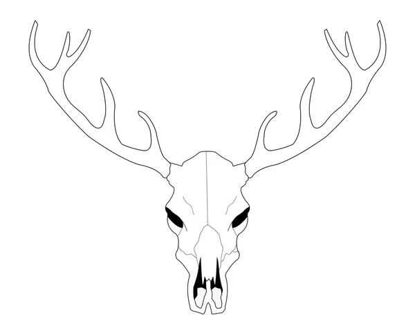 鹿头骨图库矢量图片 免版税鹿头骨插图 Depositphotos