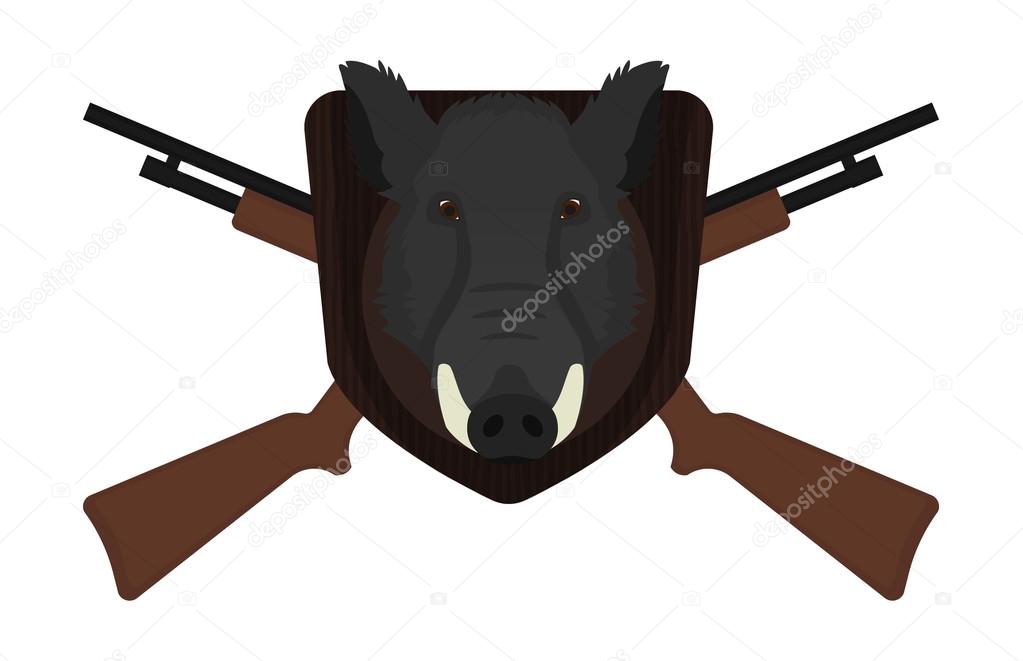 wild boar head