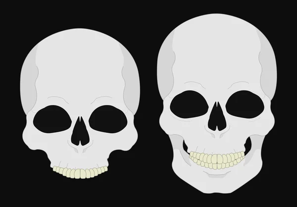 人間の頭蓋骨のクリップアート — ストックベクタ