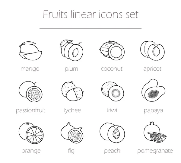 Meyve doğrusal Icons set