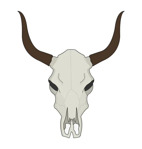 Cráneo de vaca Imágenes Vectoriales, Gráfico Vectorial de Cráneo de vaca |  Depositphotos