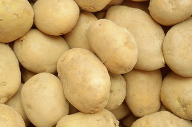 Sonra ürün yığılmış biraz patates.