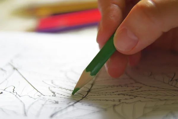 Yetişkinler için bir mandala kitap boyama renk kalem kullanan bir kadın