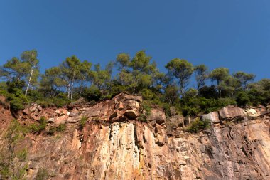 Orman ve uçurum mavi gökyüzüne karşı. Düzenleyicinin metni için boş kopya alanı olan doğa arkaplanı.