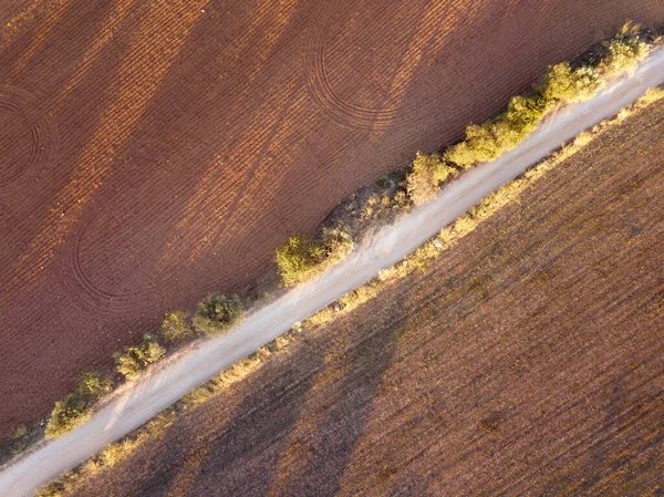 Aerial drone view of countryside fields in Catalonia, Spain. Food production concept and empty copy space for Editor\'s text.