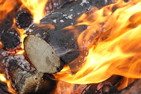 Close up van log branden in brand — Stockfoto
