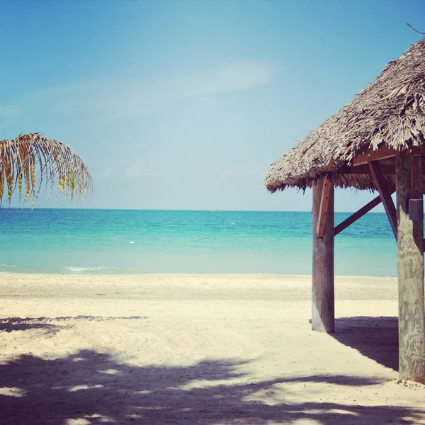 Hermoso instagram de playa tropical y océano —  Fotos de Stock