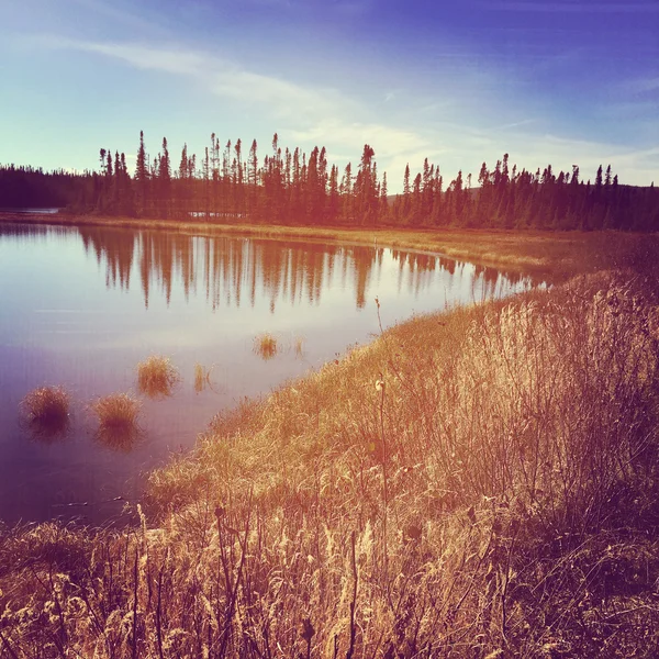 Instagram klidné jezero obklopené tráva a stromy — Stock fotografie