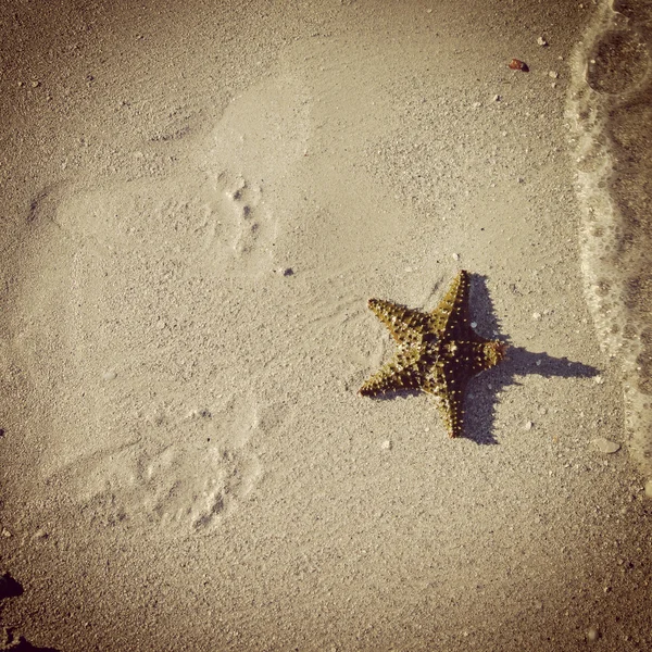 Instagram-Bild von Fußabdrücken im Sand, während Wellen hereinrollen — Stockfoto