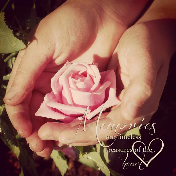 Instagram childs špinavý zahradní ruce držící růžovou s quot — Stock fotografie