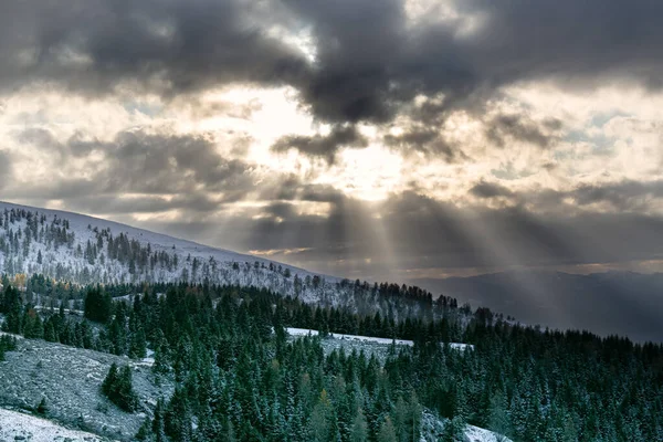 High contrasted snowy mountain landscape. The sun\'s rays break through the clouds. Fir woods. Alpe del Nevegal, Belluno, Italy