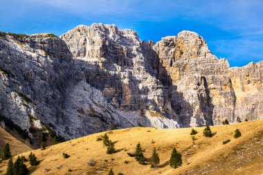 Mavi gökyüzü, kayalık dağlar ve ağaçlarla kaplı yamaçlar. Sass de Mura ve Monte Alvis. Cesiomaggiore, Belluno, İtalya