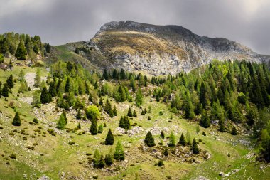 Yaz dağı manzarası. Yeşil çayırlar, köknar ormanı ve fırtınalı gökyüzü. Tambre, Alpago, Belluno, İtalya