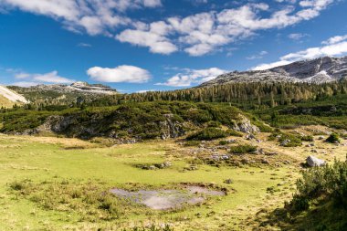 Etkileyici dağ manzarası, beyaz bulutlu mavi gökyüzü, kayalık tepeler ve köknar ormanları, yeşil otlaklar ve bir gölet. Piani Eterni, Dolomiti Bellunesi Ulusal Parkı, İtalya