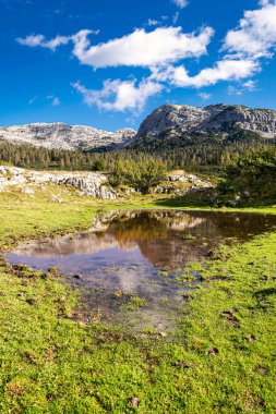 Etkileyici dağ manzarası, beyaz bulutlu mavi gökyüzü, kayalık tepeler ve köknar ormanları, yeşil otlaklar ve bir gölet. Piani Eterni, Dolomiti Bellunesi Ulusal Parkı, İtalya