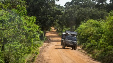 Bölüm safari içinde Yala Milli Parkı Sri Lanka.