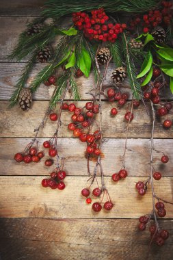 Çam dalları ve elma