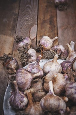 ?????? ?? ?????????? ????