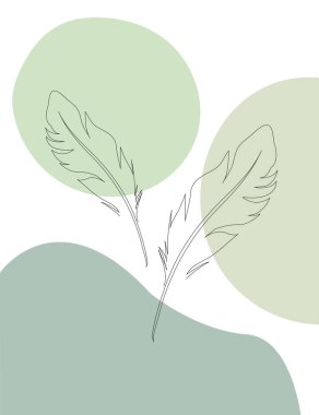Kuş tüyü çizimi. El çizimi minimalist illüstrasyon, vektör. minimalizm illüstrasyon paleti
