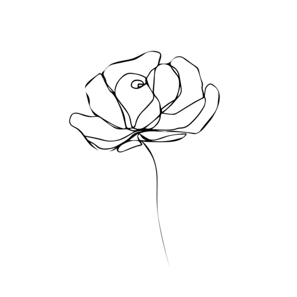 Flower Line Drawing Hand Drawn Minimalist Illustration Vector Logo — Stock Vector
